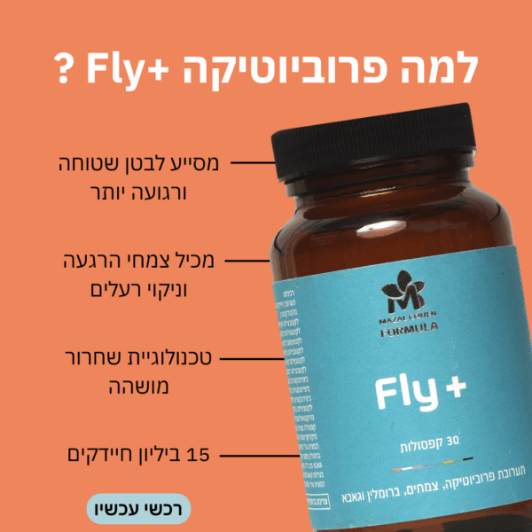 ⁦באנדל פרוביוטיקה ופרי פליי⁩ – תמונה ⁦2⁩